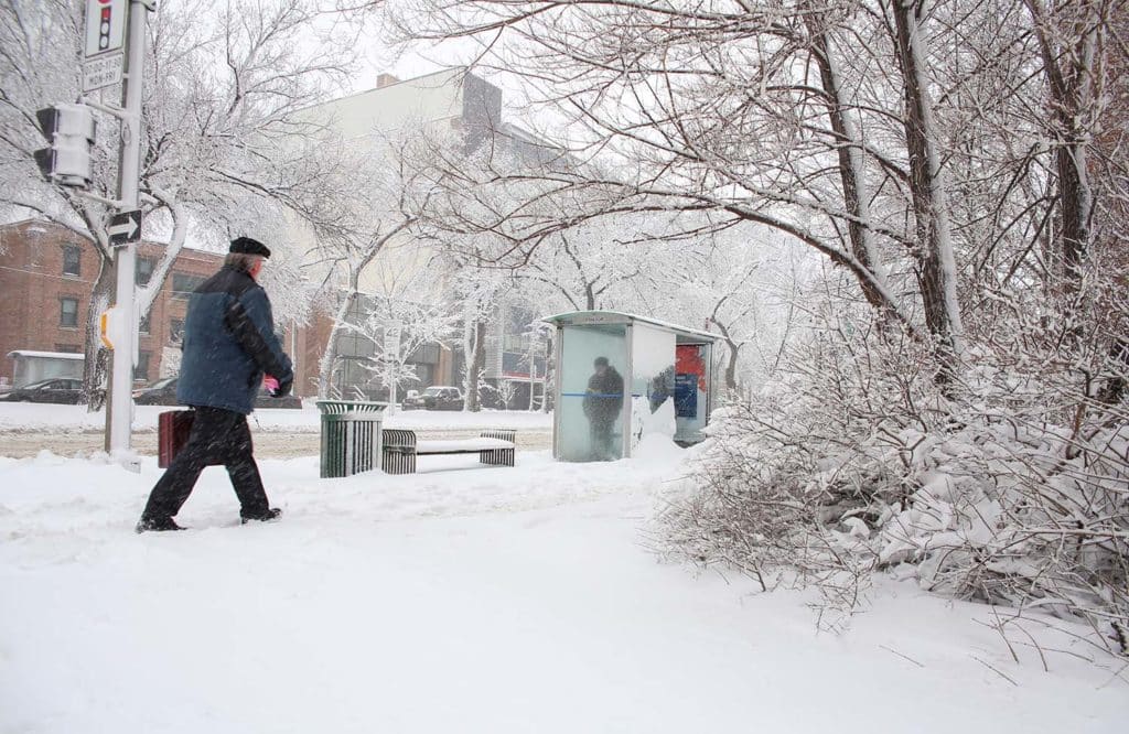 winter bus stop