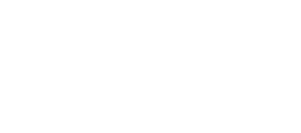 25th anniversary Vehicles for Change logo white